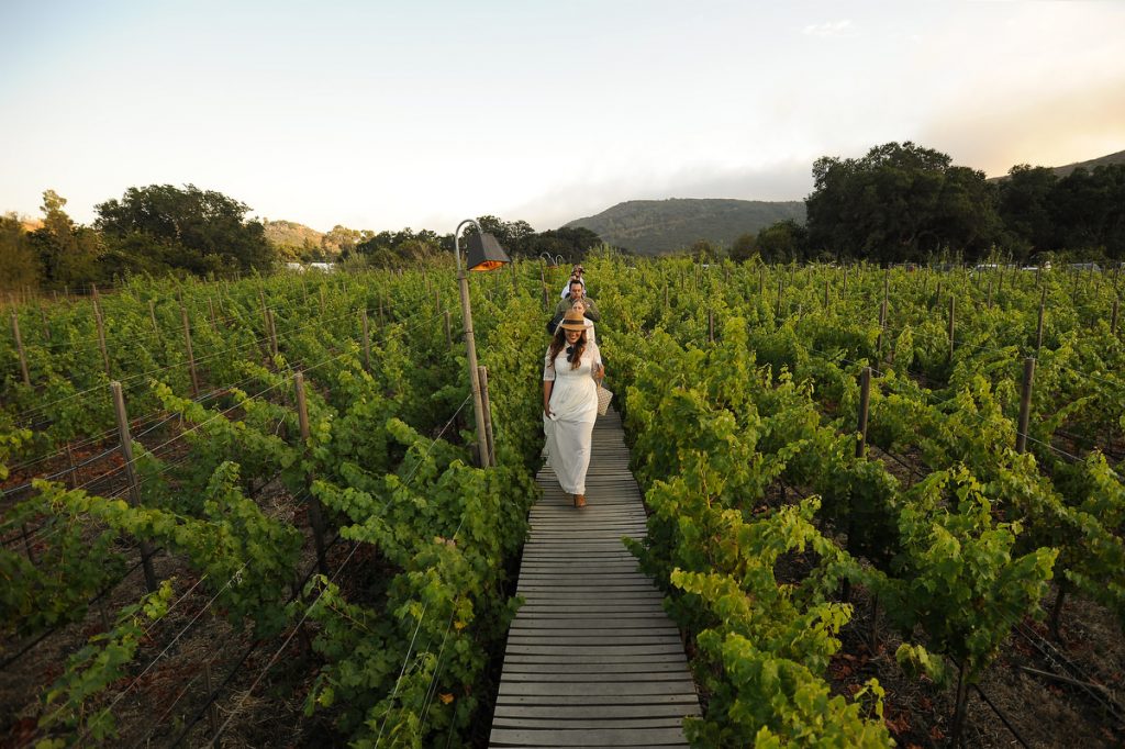 A bride is walking in the middle of a vineyard during sunset time in the Cuatro Cuartos resort in Valle de Guadalupe, Mexico during her cocktail wedding party.