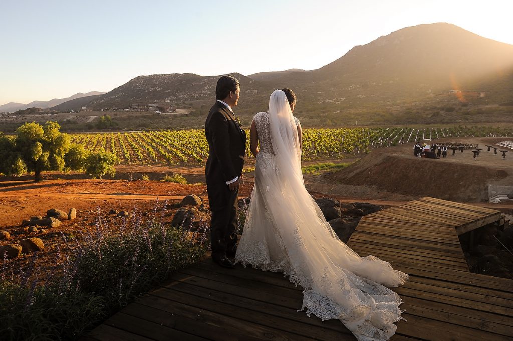 A bride and a groom observe the vineyards and the wedding venue of Decantos Vinicola in Valle de Guadalupe moments before their sunset wedding ceremony starts