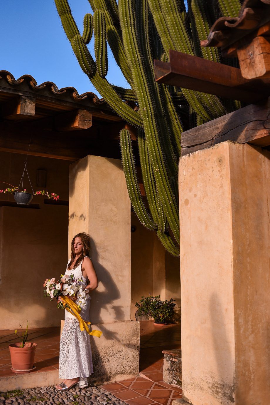 A bride is leaning against a brown wall and standing next to a huge cactus during sunset time on a oaxaca wedding in ex hacienda san antonio